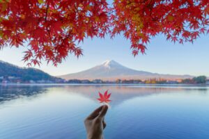 Foliage in Giappone: Il Rosso Intenso che Racconta la Storia della Terra e delle Piante
